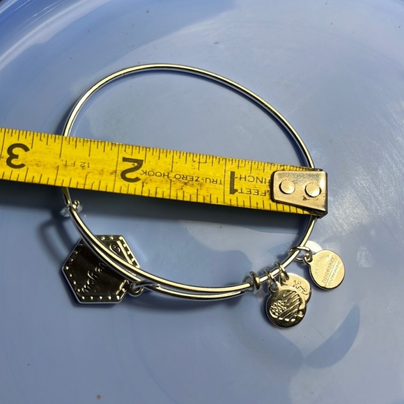 Alex and Ani Silver Charm Bracelet - Picture 2 of 4